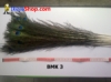 bulu merak BMK 3 - feather medium.jpg